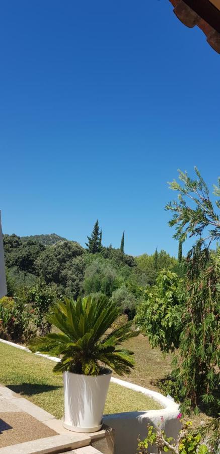 Villa Milagro - 3 Bedroom Finca Style Villa With Pool Near Golf Course/Beaches - Air Cond. Pollença Buitenkant foto