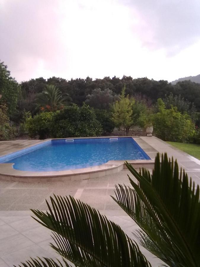 Villa Milagro - 3 Bedroom Finca Style Villa With Pool Near Golf Course/Beaches - Air Cond. Pollença Buitenkant foto